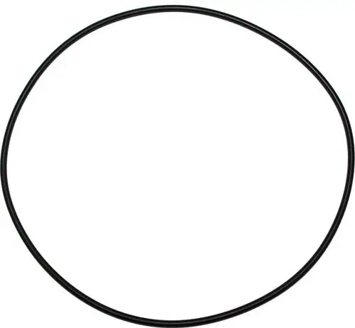 Wolf-Dichtung-O-Ring-200x4-fuer-MGK-2-3910268 gallery number 1
